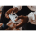 Microsoft Outlet Xbox Series Kontroler - Robot White - 1564674 - zdjęcie 7